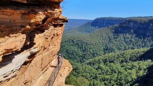 wandern wanderungen hiking blue mountains guide guided hike walk bush Sydney Australien Australia Wolfgang Hedi bergwandern wandern tour tours track interpretive plants animals