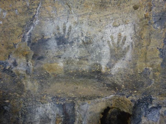 wandern wanderungen hiking blue mountains guide guided hike walk bush Sydney Australien Australia Wolfgang Hedi bergwandern wandern tour tours track interpretive plants animals