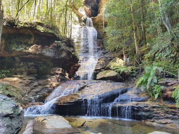 wandern wanderungen hiking blue mountains guide guided hike walk bush Sydney Australien Australia Wolfgang Hedi bergwandern wandern tour tours track interpretive plants animals