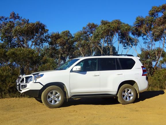 wandern wanderungen hiking blue mountains guide guided hike walk bush Sydney Australien Australia Wolfgang Hedi bergwandern wandern tour tours track interpretive plants animals