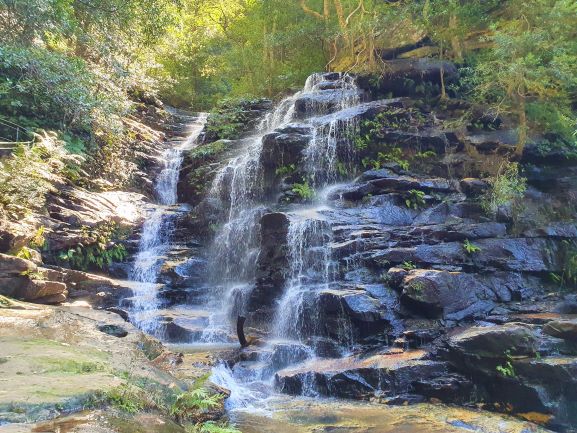 wandern wanderungen hiking blue mountains guide guided hike walk bush Sydney Australien Australia Wolfgang Hedi bergwandern wandern tour tours track interpretive plants animals