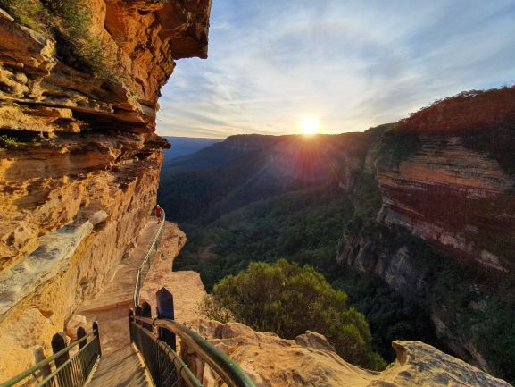 wandern wanderungen hiking blue mountains guide guided hike walk bush Sydney Australien Australia Wolfgang Hedi bergwandern wandern tour tours track interpretive plants animals