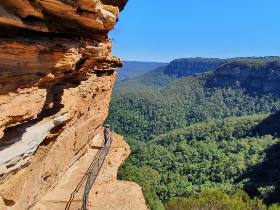 wandern wanderungen hiking blue mountains guide guided hike walk bush Sydney Australien Australia Wolfgang Hedi bergwandern wandern tour tours track interpretive plants animals