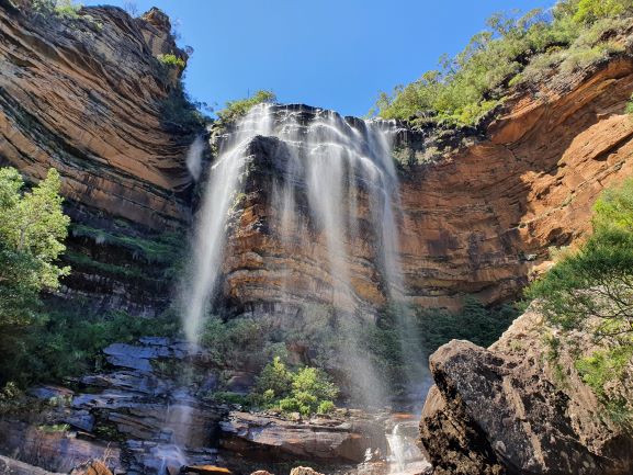 wandern wanderungen hiking blue mountains guide guided hike walk bush Sydney Australien Australia Wolfgang Hedi bergwandern wandern tour tours track interpretive plants animals