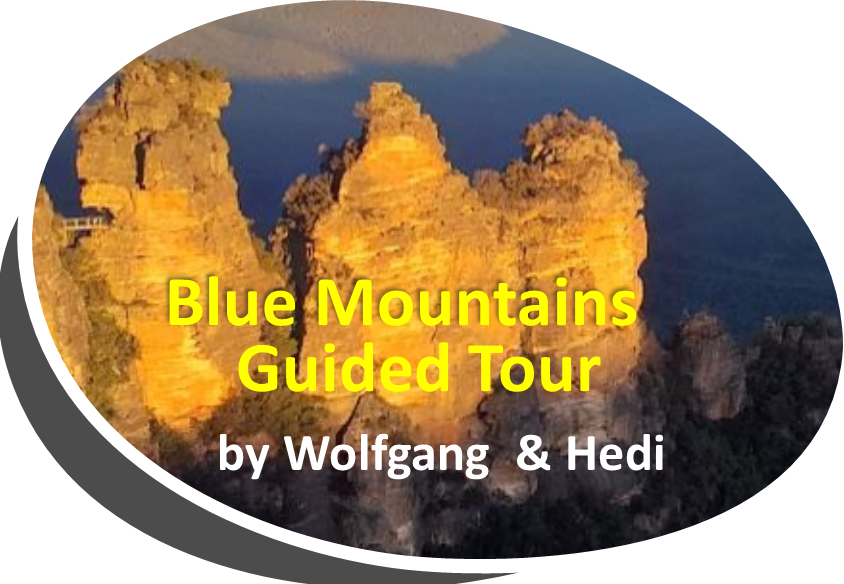 Amazing Hiking Tours in the Blue Mountains |